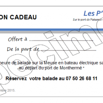 Balade en bateau électrique sans permis - 5 Places